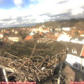 13_00-nest.jpg