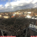 13_05-nest.jpg