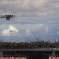 13_15-mast.jpg