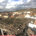 13_15-nest.jpg