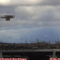 13_20-mast.jpg