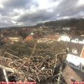 13_20-nest.jpg