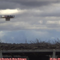 13_25-mast.jpg