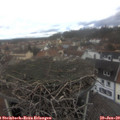 13_25-nest.jpg