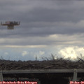 13_30-mast.jpg