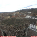 13_35-nest.jpg
