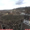 13_40-nest.jpg