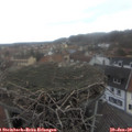 13_45-nest.jpg