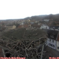 13_50-nest.jpg