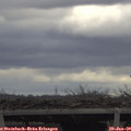 13_55-mast.jpg