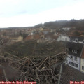 13_55-nest.jpg