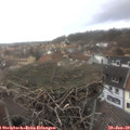 14_00-nest.jpg