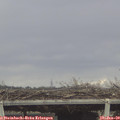 14_05-mast.jpg