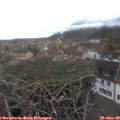 14_05-nest.jpg