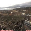 14_20-nest.jpg