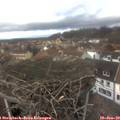 14_25-nest.jpg