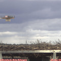 14_30-mast.jpg
