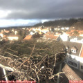 14_30-nest.jpg