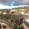 14_35-nest.jpg