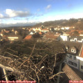 14_45-nest.jpg