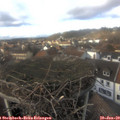 14_50-nest.jpg