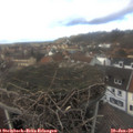 14_55-nest.jpg