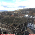 15_00-nest.jpg