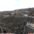 15_05-nest.jpg