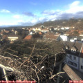 15_10-nest.jpg