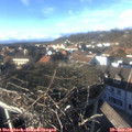15_15-nest.jpg