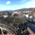 15_20-nest.jpg