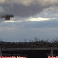 15_35-mast.jpg