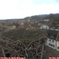 15_35-nest.jpg