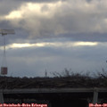 15_40-mast.jpg