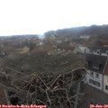 15_40-nest.jpg