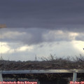 15_50-mast.jpg