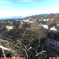 15_55-nest.jpg