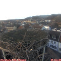 16_20-nest.jpg