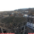 16_25-nest.jpg