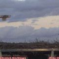 16_50-mast.jpg