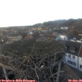 16_55-nest.jpg