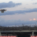 17_00-mast.jpg