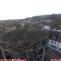 17_00-nest.jpg