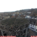 17_05-nest.jpg
