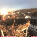 08_15-nest.jpg