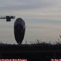 08_40-mast.jpg
