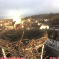 08_40-nest.jpg