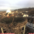 08_50-nest.jpg