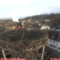08_55-nest.jpg