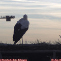 09_00-mast.jpg